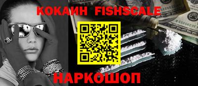 крисы Кулебаки