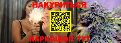 крисы Кулебаки