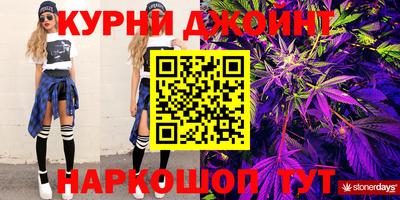 крисы Кулебаки