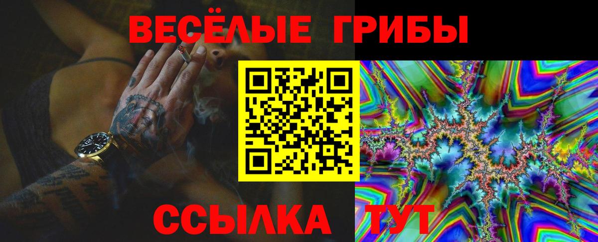 Каменск-Шахтинский  Галлюциногенные грибы Psilocybine cubensis  Вход с VPN 
